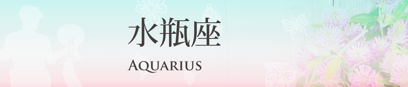 水瓶座